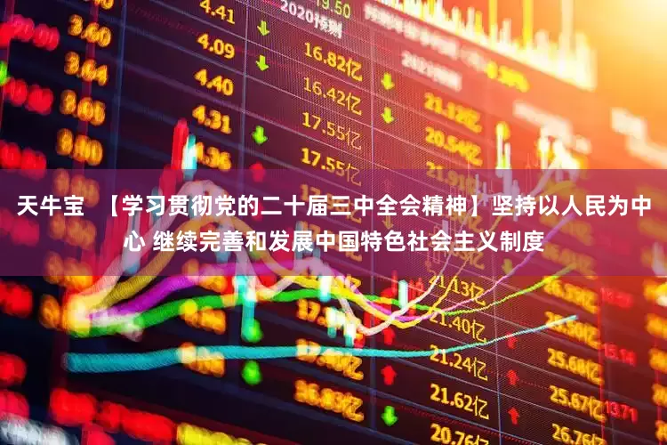 天牛宝  【学习贯彻党的二十届三中全会精神】坚持以人民为中心 继续完善和发展中国特色社会主义制度