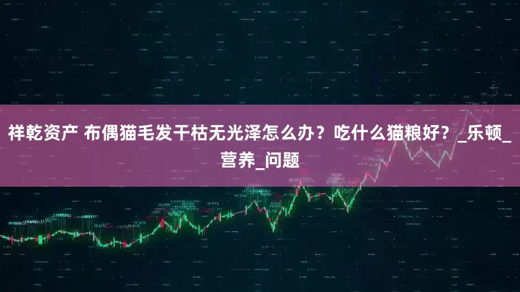 祥乾资产 布偶猫毛发干枯无光泽怎么办？吃什么猫粮好？_乐顿_营养_问题