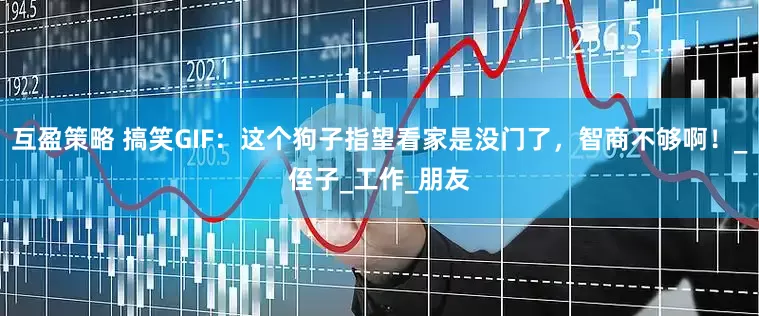 互盈策略 搞笑GIF：这个狗子指望看家是没门了，智商不够啊！_侄子_工作_朋友