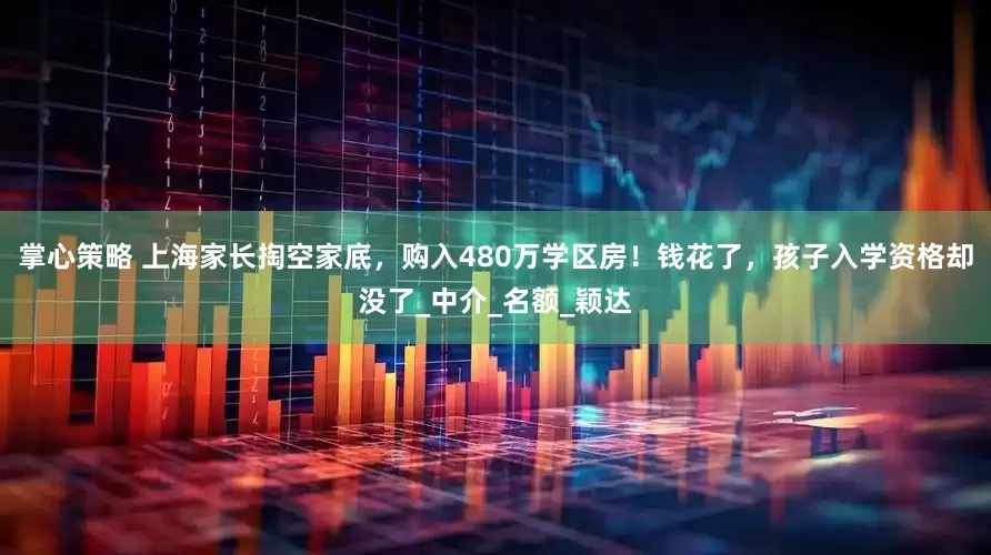 掌心策略 上海家长掏空家底，购入480万学区房！钱花了，孩子入学资格却没了_中介_名额_颖达