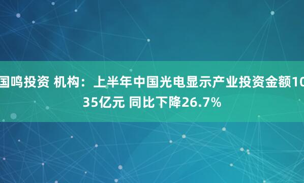 国鸣投资 机构：上半年中国光电显示产业投资金额1035亿元 同比下降26.7%