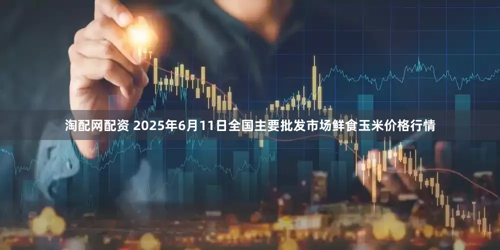 淘配网配资 2025年6月11日全国主要批发市场鲜食玉米价格行情